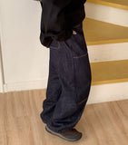 Finny Painter Stitched Rivet Brushed Denim Pants