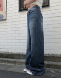Amyu Summer Denim Wide Pants