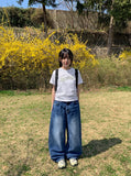 Earmin Star Patch Crop Short Sleeve Tee