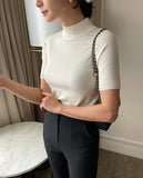 All-Time Plain Half Turtleneck Knit