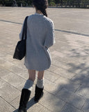 Inter Laptop Big Shoulder Bag