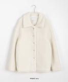 Eng collar over mustang jacket