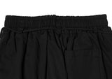 Horse Banding Strap Wide Pin Tuck Pants