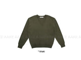 (WOOL) SEASONAL V-NECK KNIT