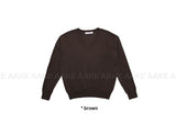 (WOOL) SEASONAL V-NECK KNIT