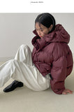 Peb Hood Crop Padding