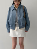 Steel Western Suede Blouson