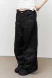 Max Coating Tencel Pants