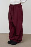 Glass Nylon Pants