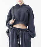 Diction Embroidered Crop Over Hoodie