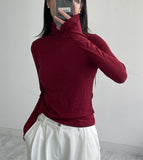 Pintuck Warmer Turtleneck T-shirt