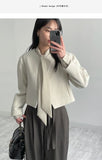 Pastel Tie See-Through Blouse