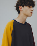Palette Raglan Half Sweat Shirt