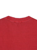 Solz Pigment Cropped Top