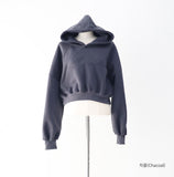 Diction Embroidered Crop Over Hoodie