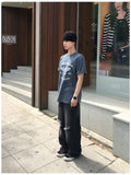 Isle Damage Flare Denim Pants
