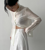 Dent High Neck Tencel See-Through Blouse