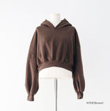 Diction Embroidered Crop Over Hoodie