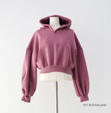 Diction Embroidered Crop Over Hoodie