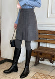 Chalet Brushed Unbalanced Pleats Mini Skirt
