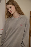 Cat Stitch Raglan Pigment Sweatshirt
