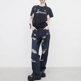 (Unisex) Teren Damage Pants