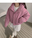 Matte Hood High-Neck Short Padding