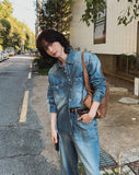 Flood cat brush western denim shirt