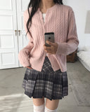 Pehi Check Pleated Skirt