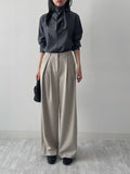 Naive Pleated Wide Slacks