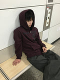 Tain Sunday Sweat Hood Zip-Up