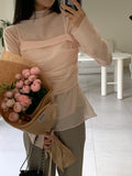 Dent High Neck Tencel See-Through Blouse
