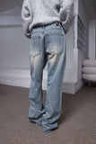 hip line bizo denim