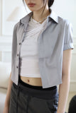 Silver cropped shirt