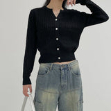 Cash Cable V-neck Knit