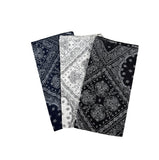 Star Paisley Scarf