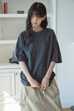 Dino Stitch Embroidered Pigment Short Sleeve Tee