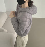 Lightweight Winter Padding