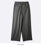 Noah Double Stripe Banding Slacks