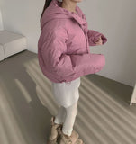 Matte Hood High-Neck Short Padding