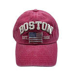 Boston pig washing ball cap