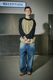 Hoppy Raglan Block Knit