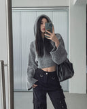Fran Soft Wool Crop Knit Hoodie