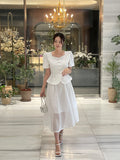 French Check See-Through Banding Flare Long Skirt