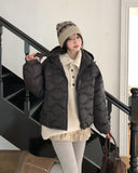 Pochia Wave Quilted Lightweight Padding