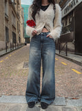 Benny loose wide denim pants
