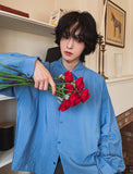 Crystal Overfit Crop Shirt