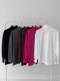 Turtleneck Overfit Brushed Sweatshirt