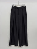 Naive Pleated Wide Slacks