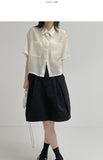 Pocket See-Through Crop Blouse
